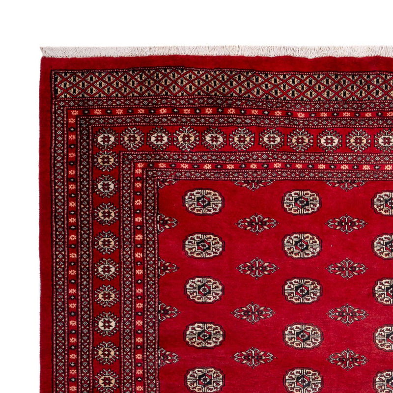 Bukhara Teppe 323x248cm - Orientalsk teppe