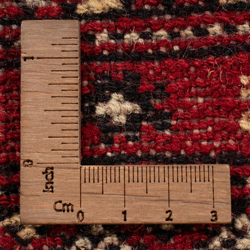 Bukhara Teppe 323x248cm - Orientalsk teppe