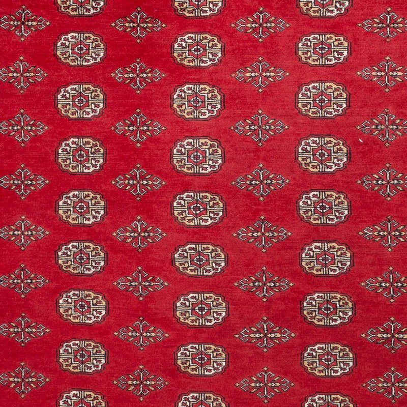 Bukhara Teppe 321x247cm - Orientalsk teppe