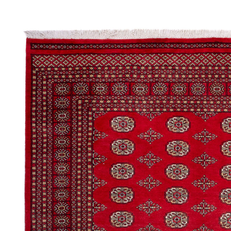 Bukhara Teppe 321x247cm - Orientalsk teppe