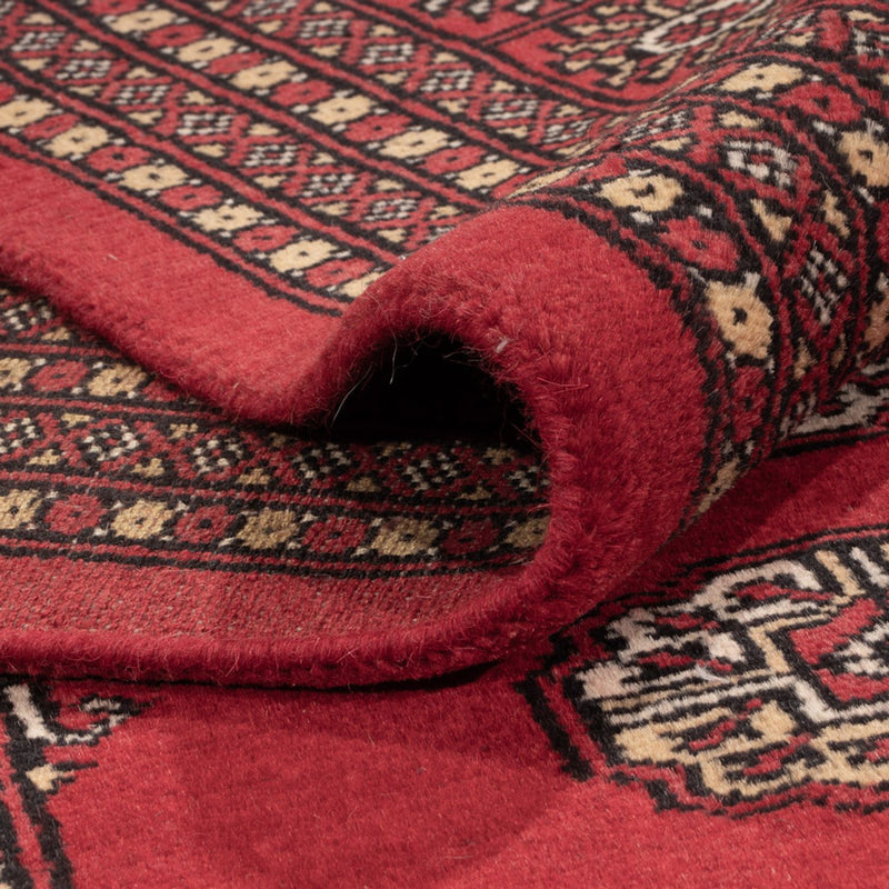 Bukhara Teppe 321x247cm - Orientalsk teppe