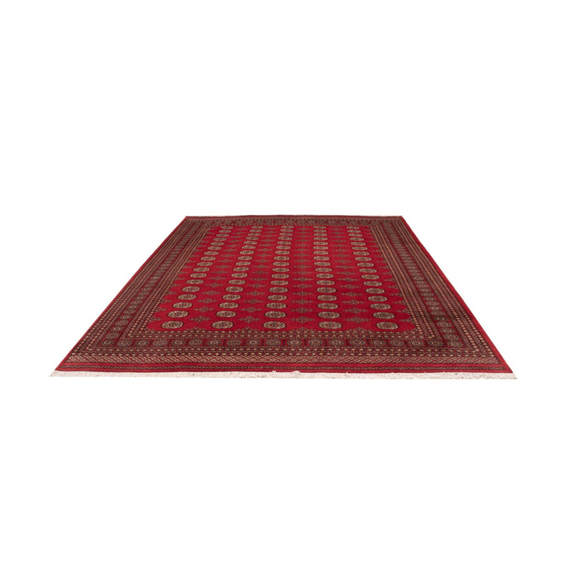 Bukhara Teppe 321x247cm - Orientalsk teppe