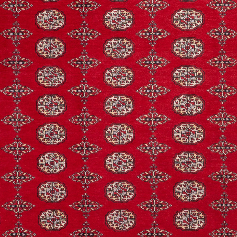 Bukhara Teppe 318x247cm - Orientalsk teppe