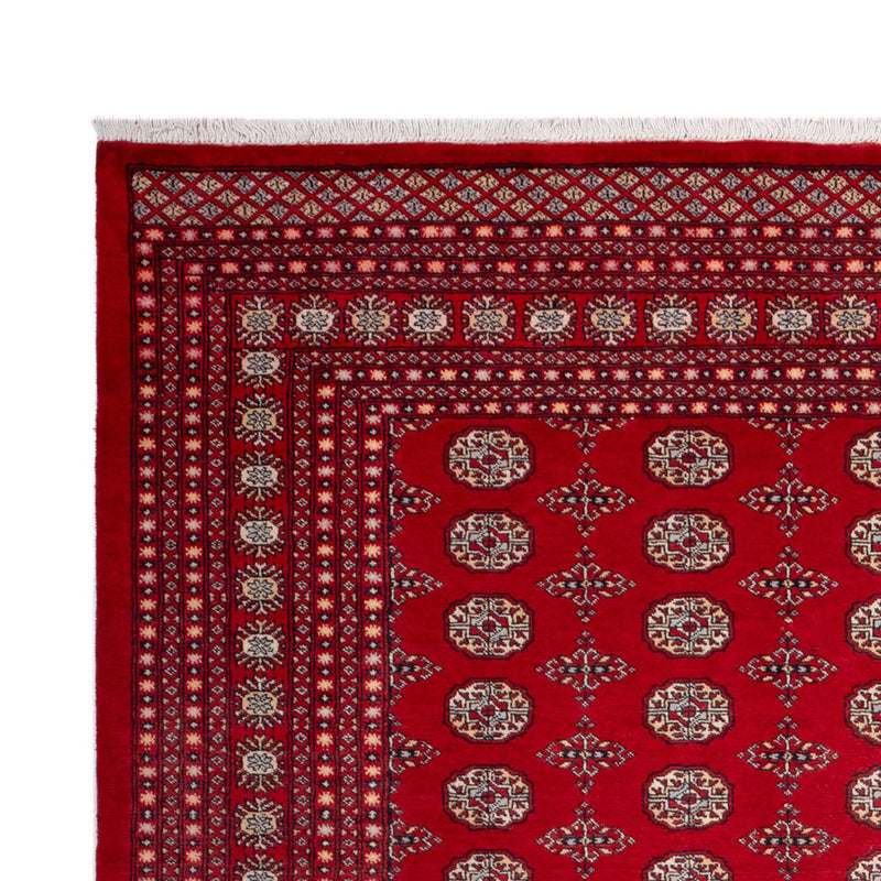 Bukhara Teppe 318x247cm - Orientalsk teppe