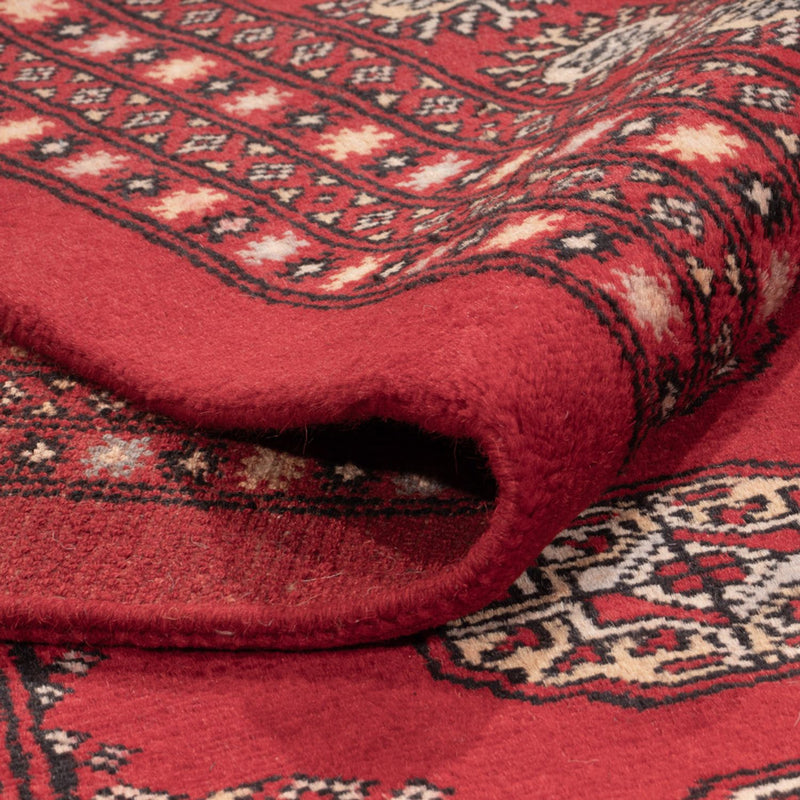 Bukhara Teppe 318x247cm - Orientalsk teppe