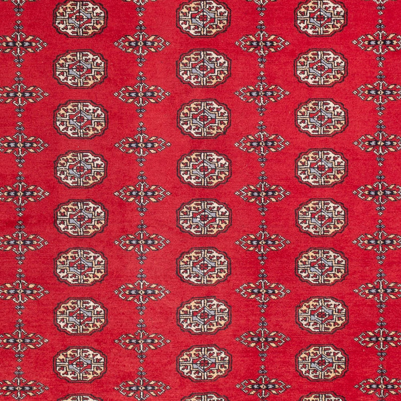 Bukhara Teppe 310x250cm - Orientalsk teppe