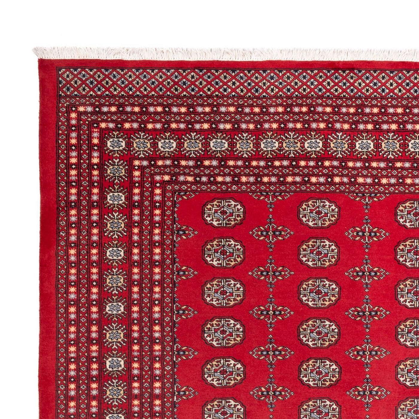 Bukhara Teppe 310x250cm - Orientalsk teppe
