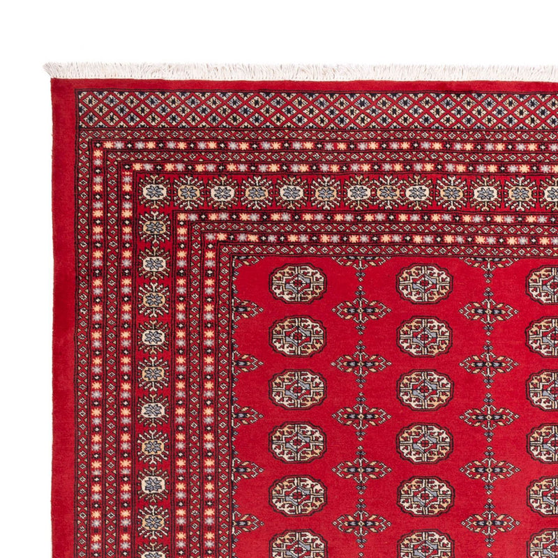 Bukhara Teppe 310x250cm - Orientalsk teppe