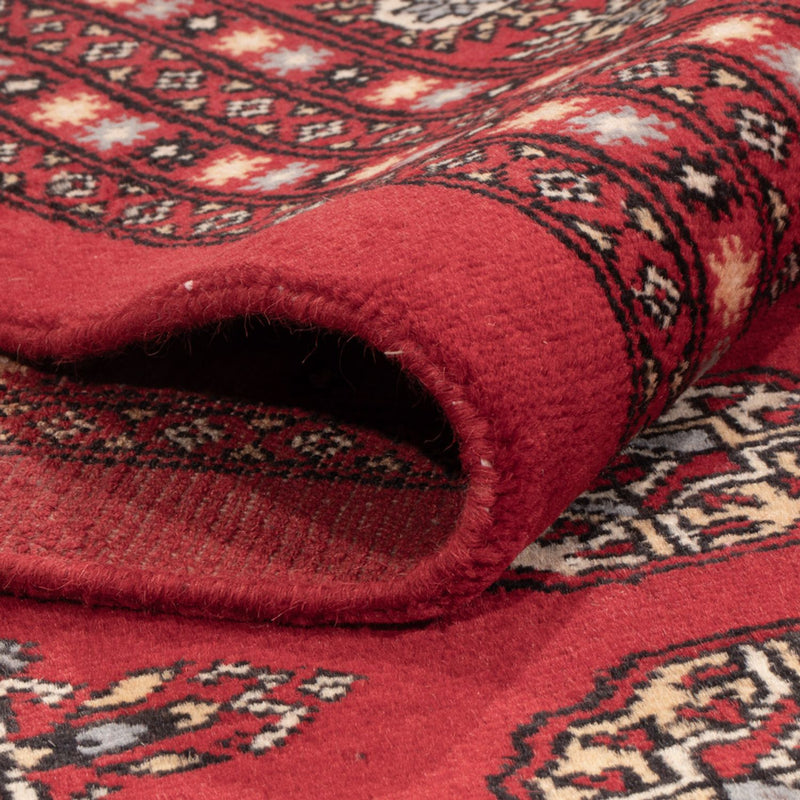 Bukhara Teppe 310x250cm - Orientalsk teppe