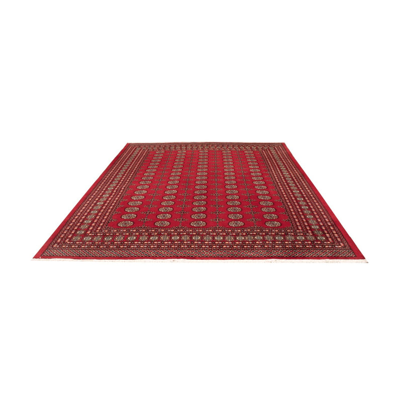 Bukhara Teppe 310x250cm - Orientalsk teppe