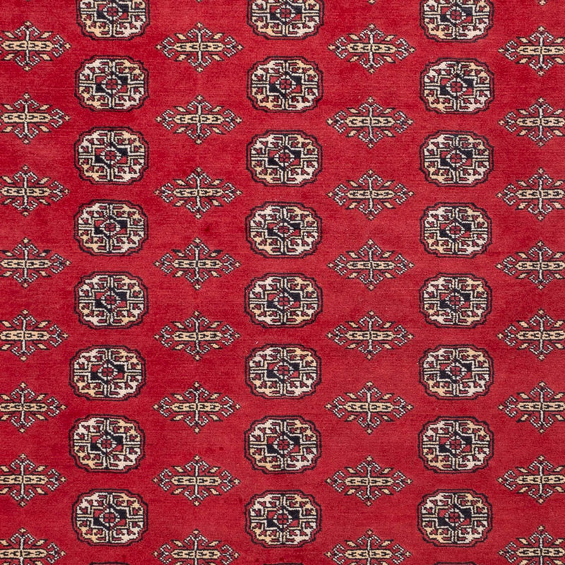 Bukhara Teppe 315x248cm - Orientalsk teppe
