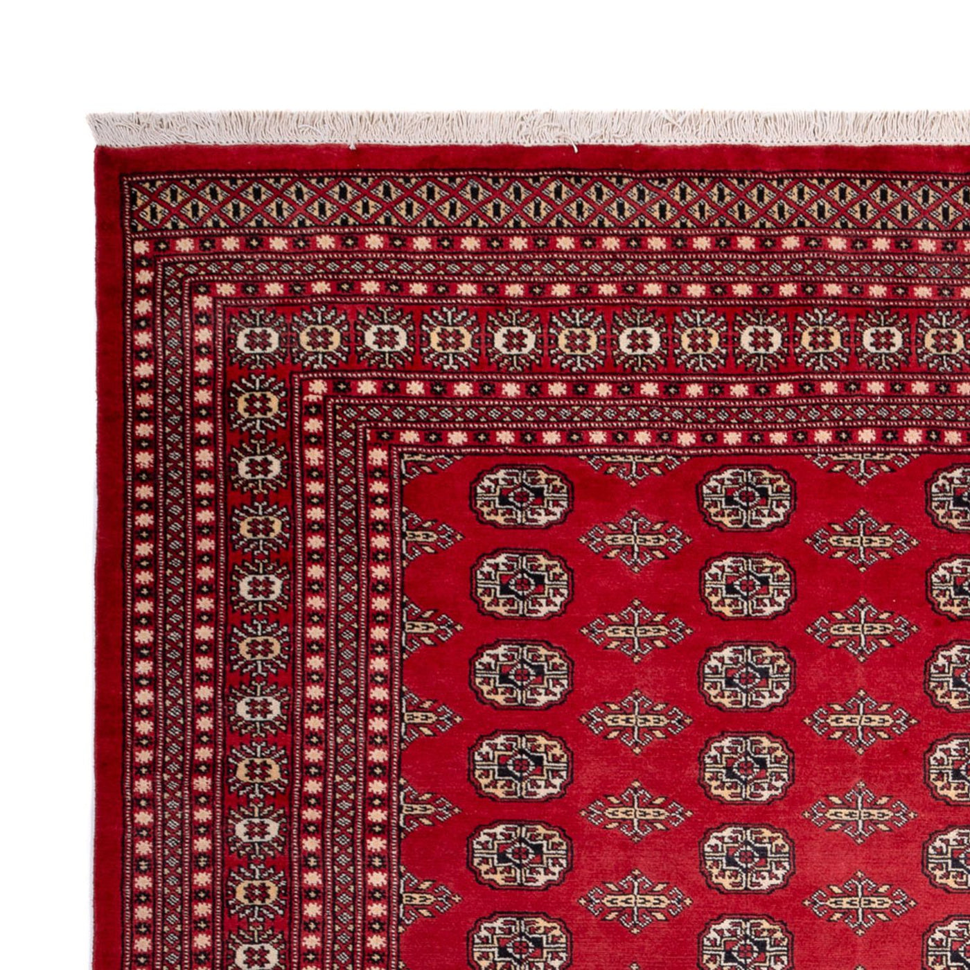 Bukhara Teppe 315x248cm - Orientalsk teppe