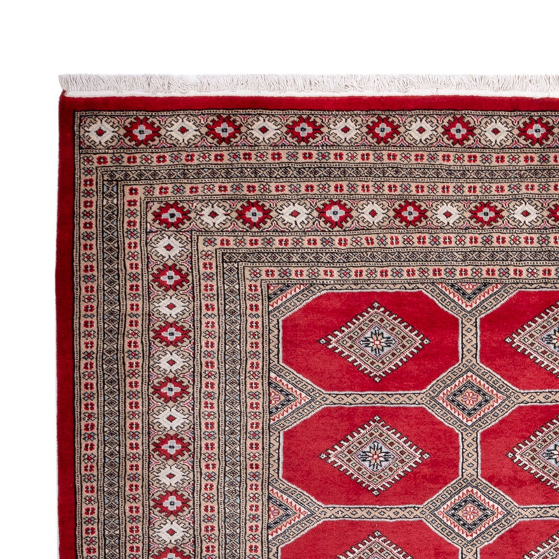 Bukhara Teppe 287x220cm - Orientalsk teppe