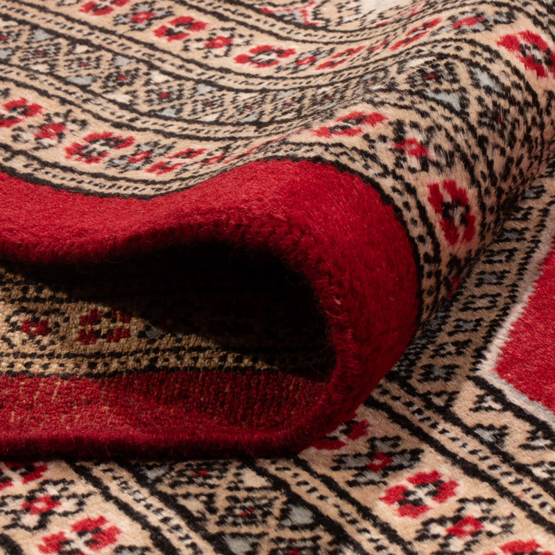 Bukhara Teppe 287x220cm - Orientalsk teppe