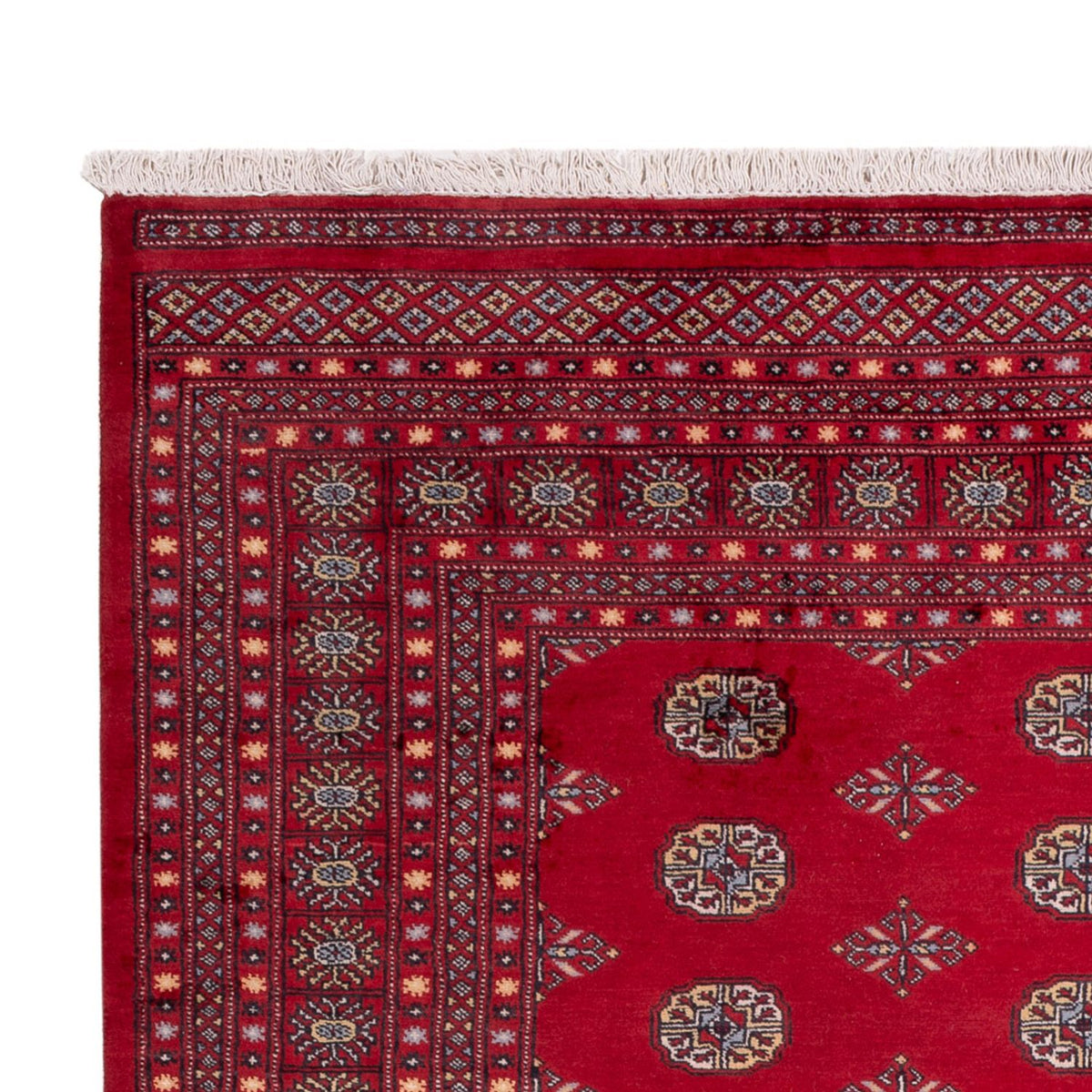 Bukhara Teppe 202x307cm - Orientalsk teppe