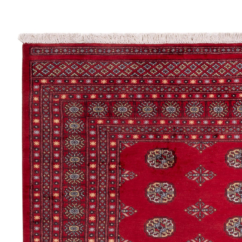Bukhara Teppe 202x307cm - Orientalsk teppe