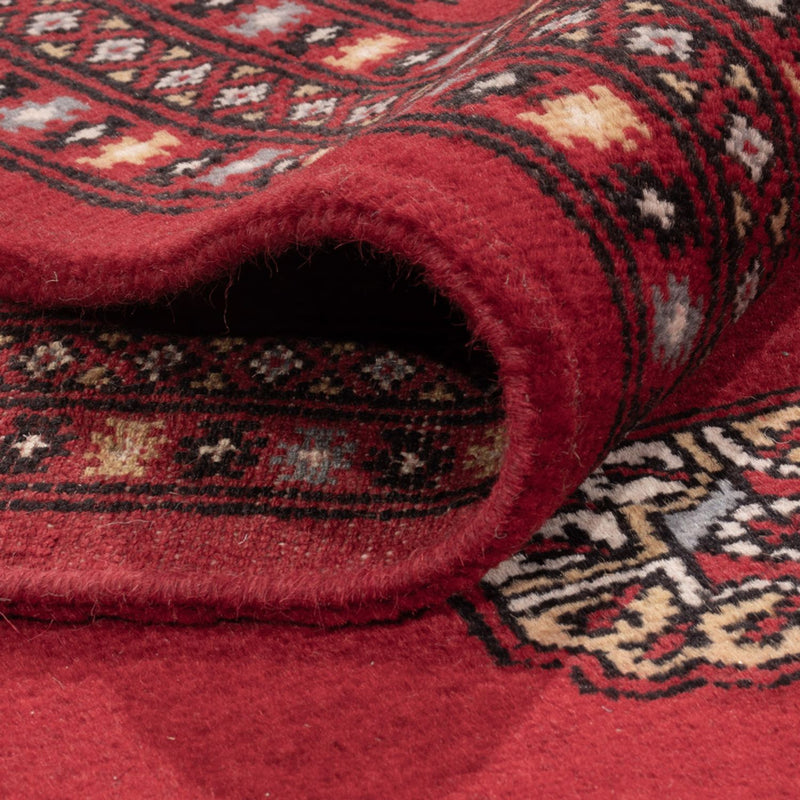 Bukhara Teppe 205x303cm - Orientalsk teppe