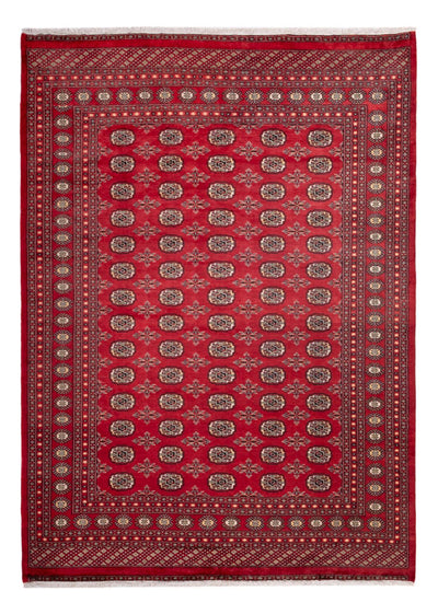 Bukhara Teppe 220x297cm - Orientalsk teppe