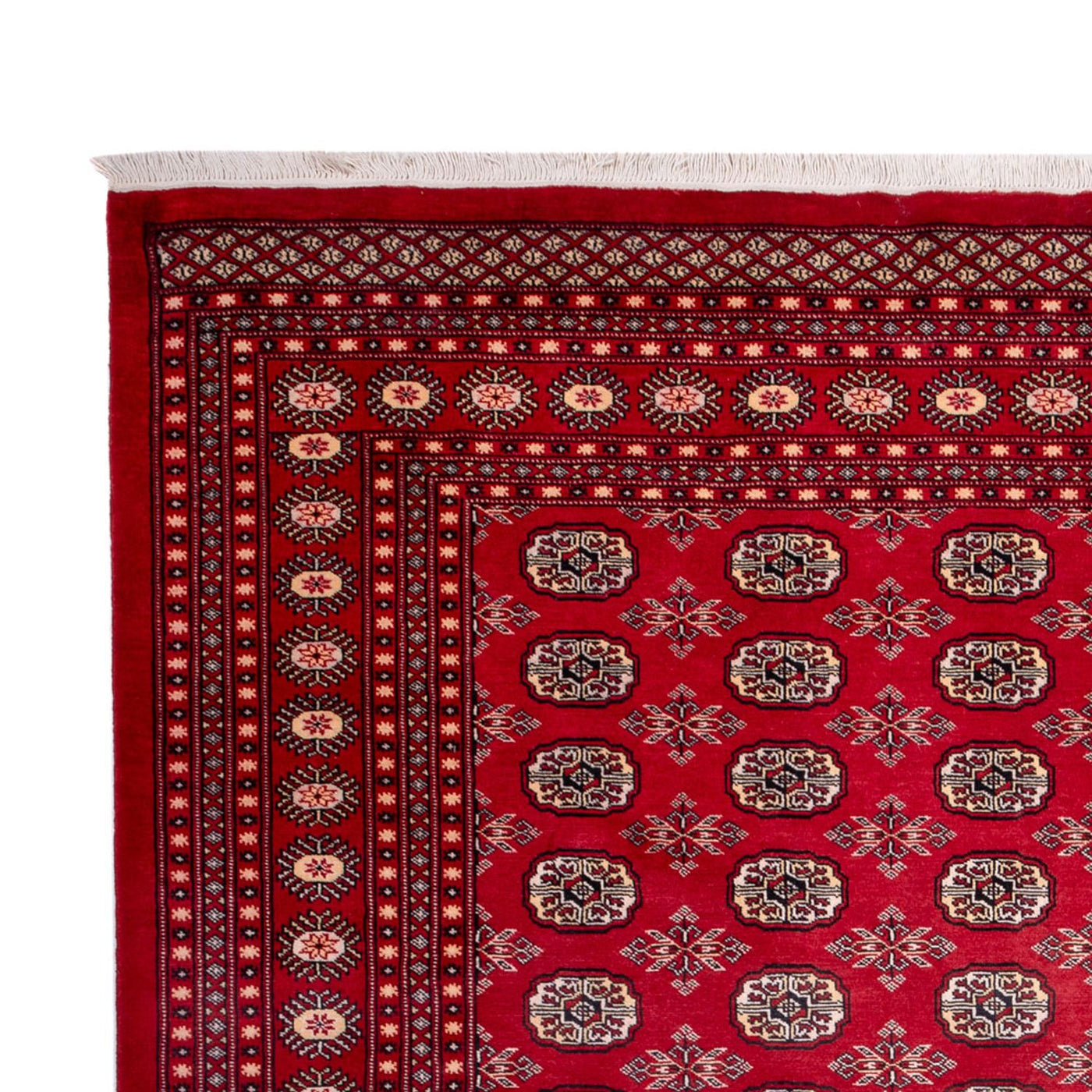 Bukhara Teppe 322x248cm - Orientalsk teppe
