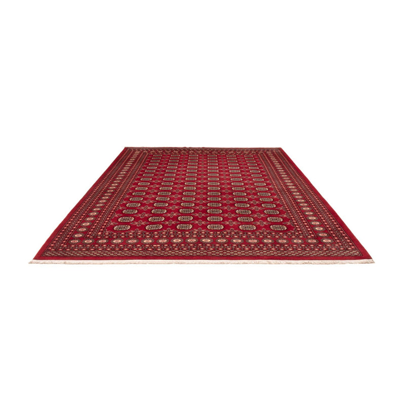 Bukhara Teppe 322x248cm - Orientalsk teppe