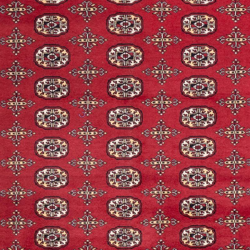 Bukhara Teppe 312x245cm - Orientalsk teppe