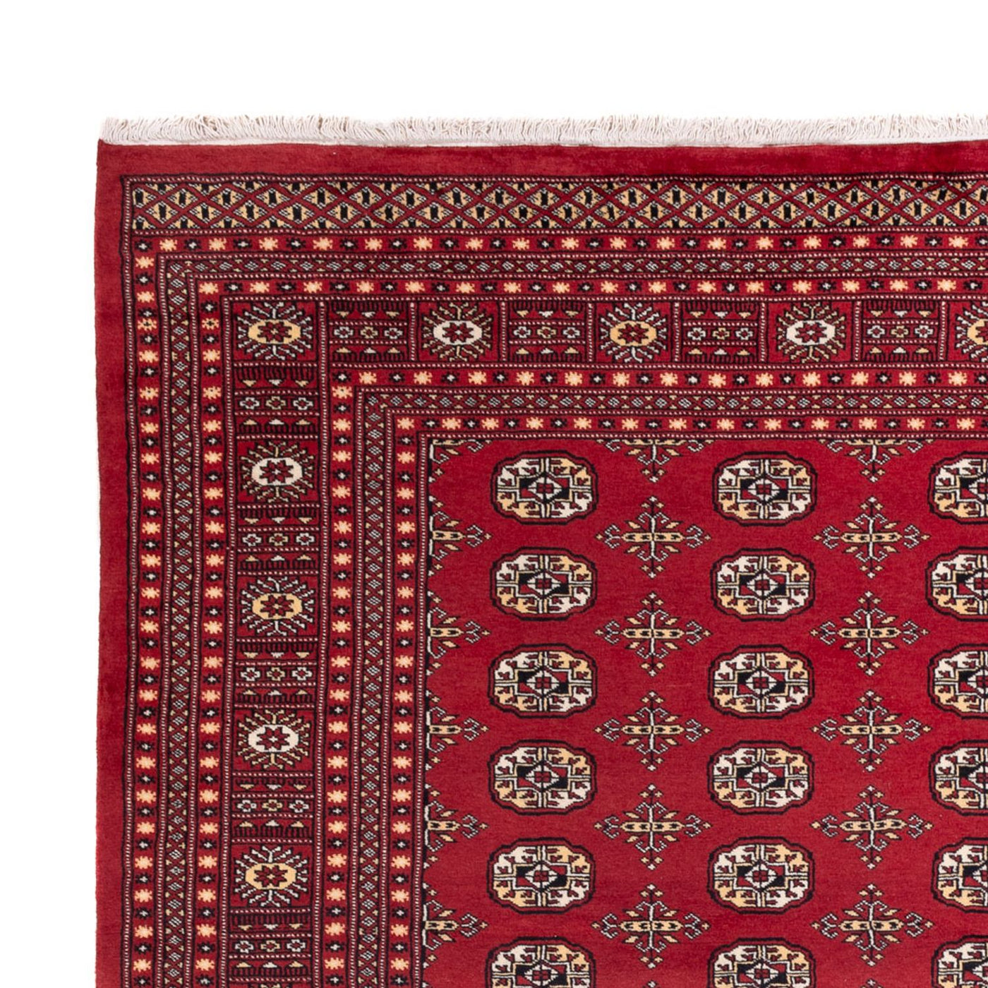 Bukhara Teppe 312x245cm - Orientalsk teppe