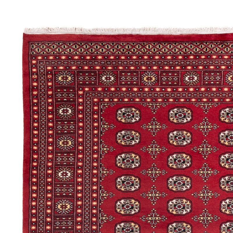 Bukhara Teppe 312x245cm - Orientalsk teppe