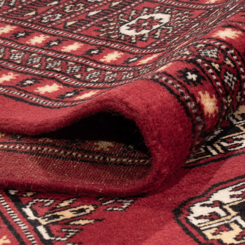 Bukhara Teppe 312x245cm - Orientalsk teppe