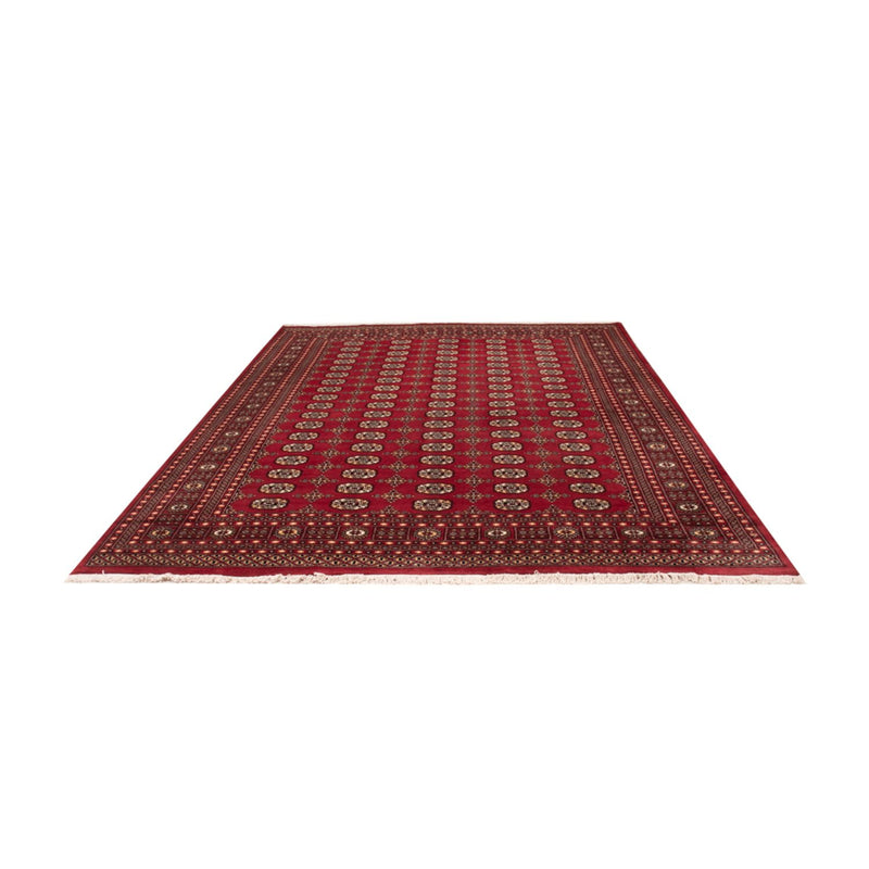 Bukhara Teppe 312x245cm - Orientalsk teppe