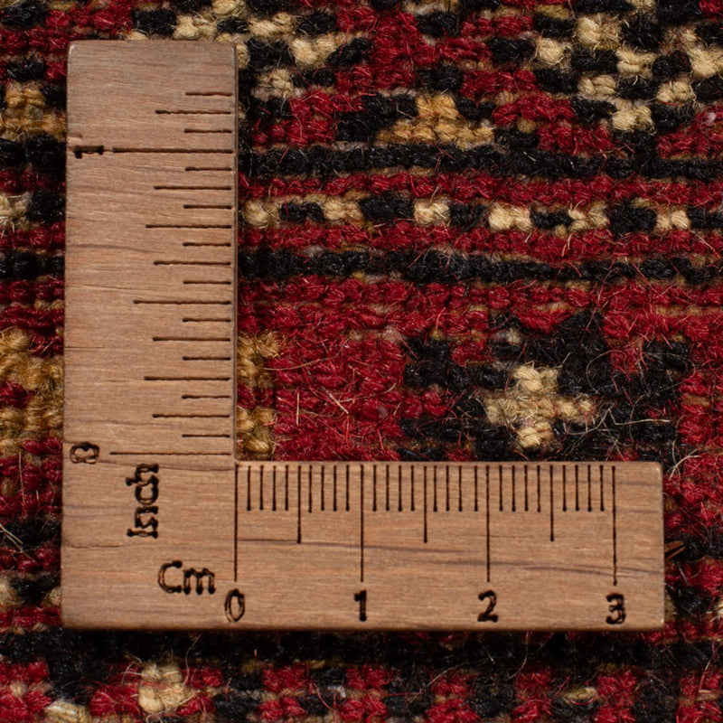 Bukhara Teppe 312x245cm - Orientalsk teppe