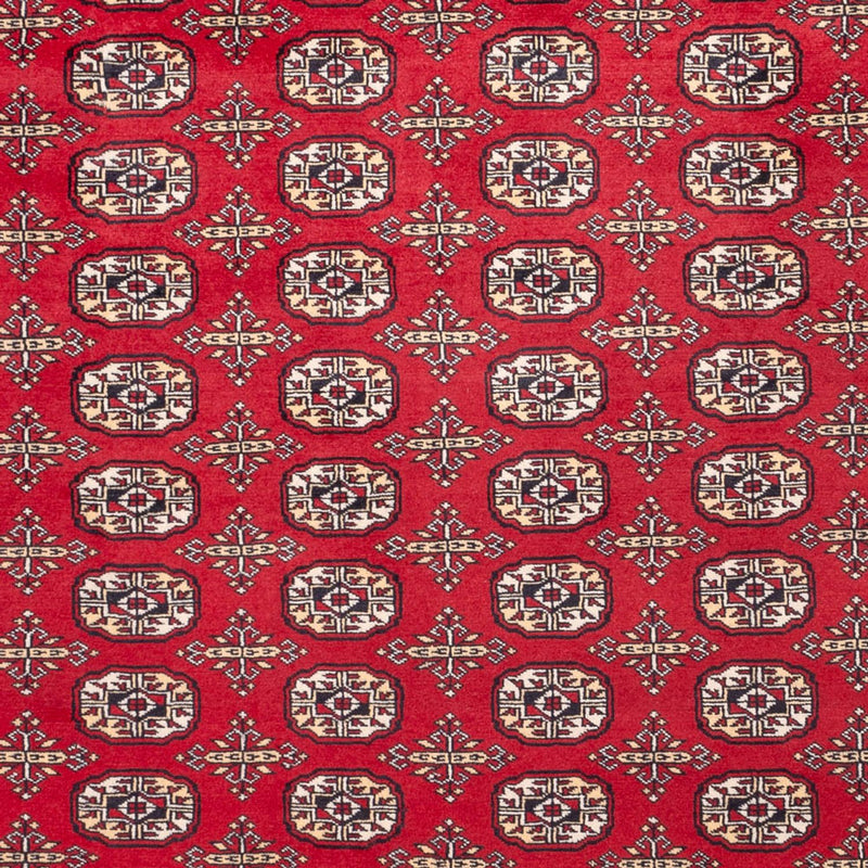 Bukhara Teppe 311x243cm - Orientalsk teppe