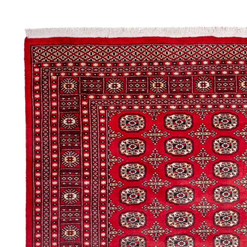 Bukhara Teppe 311x243cm - Orientalsk teppe