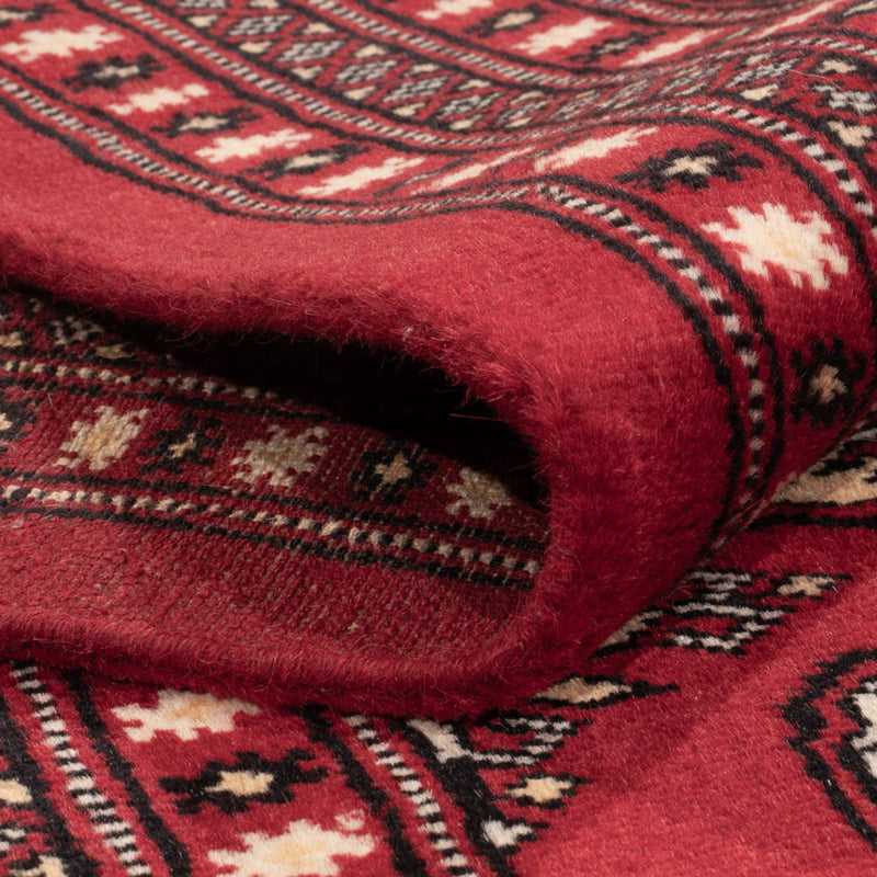Bukhara Teppe 311x243cm - Orientalsk teppe