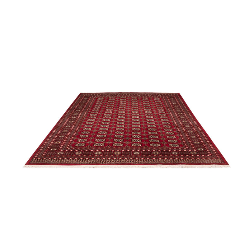 Bukhara Teppe 311x243cm - Orientalsk teppe