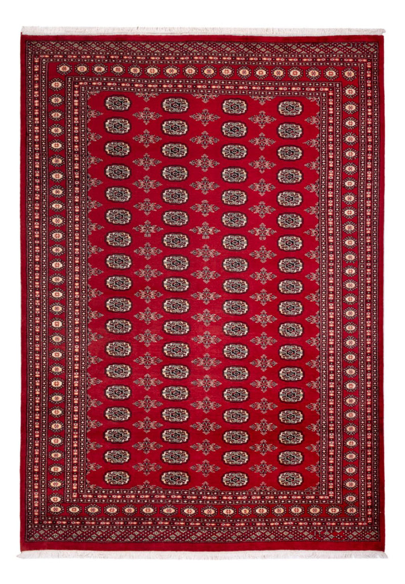 Bukhara Teppe 213x297cm - Orientalsk teppe