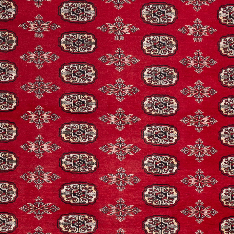 Bukhara Teppe 213x297cm - Orientalsk teppe