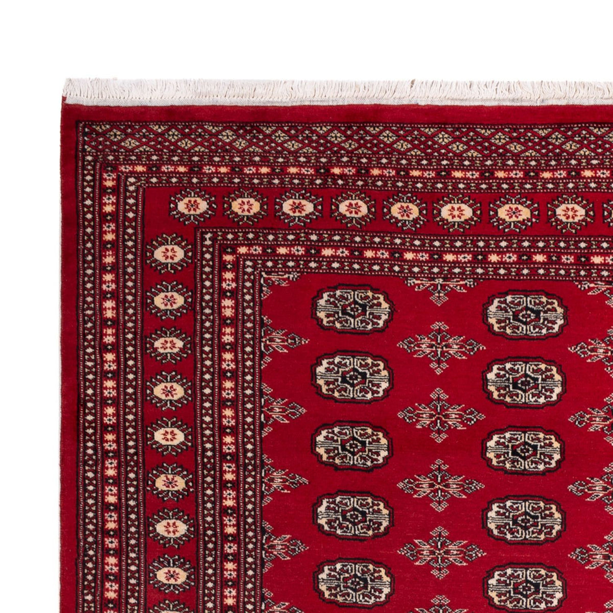 Bukhara Teppe 213x297cm - Orientalsk teppe
