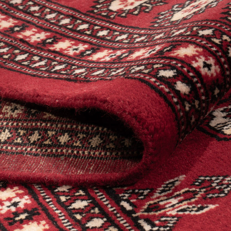 Bukhara Teppe 213x297cm - Orientalsk teppe