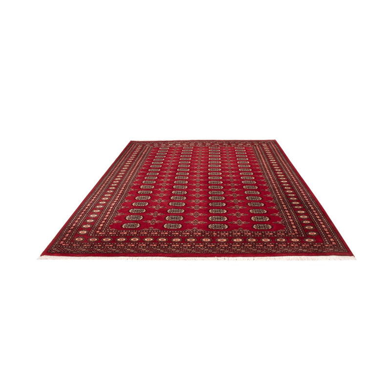 Bukhara Teppe 213x297cm - Orientalsk teppe