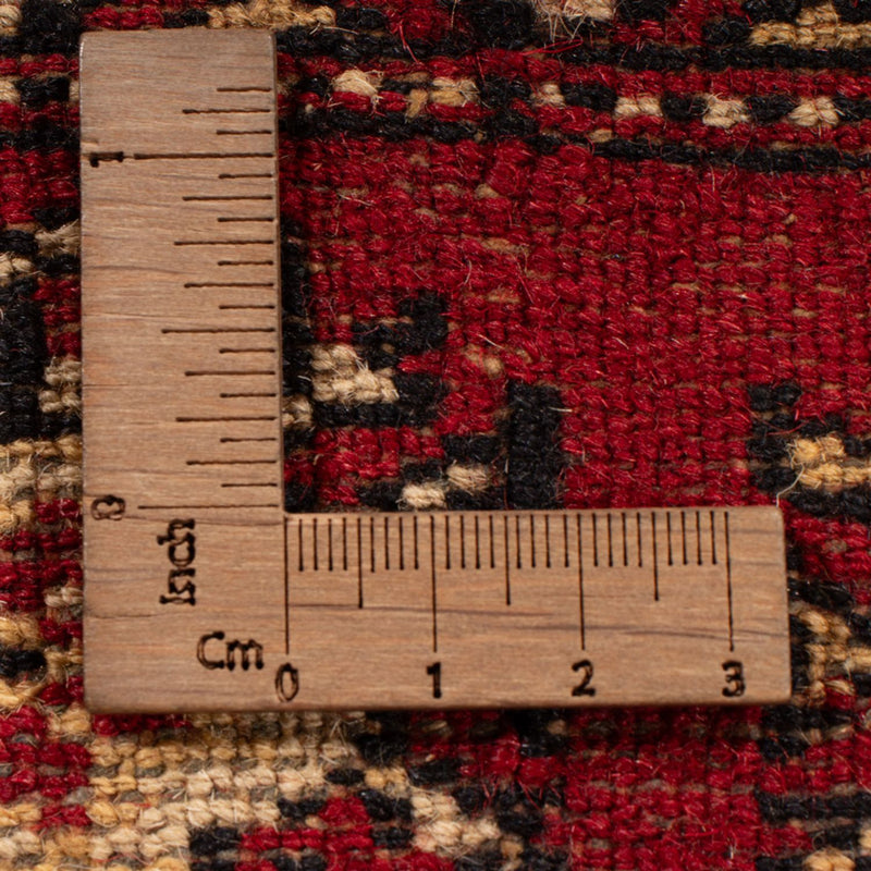 Bukhara Teppe 213x297cm - Orientalsk teppe