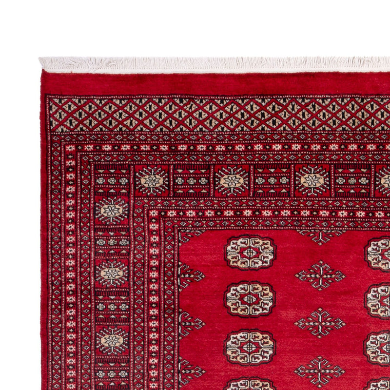 Bukhara Teppe 306x197cm - Orientalsk teppe
