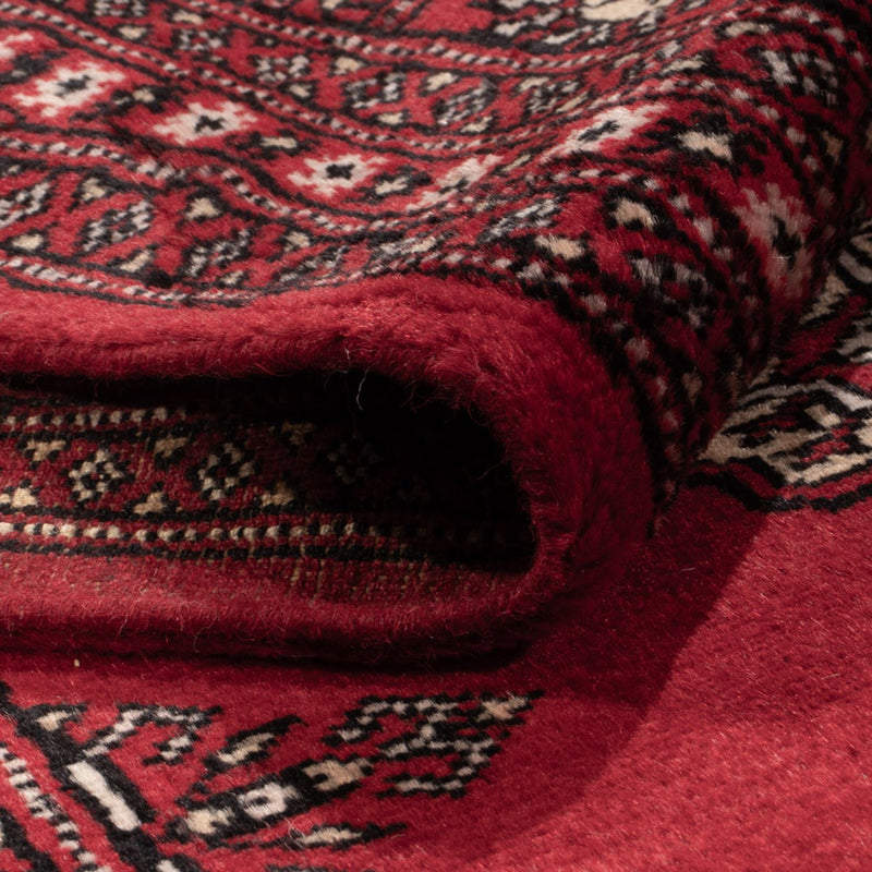 Bukhara Teppe 306x197cm - Orientalsk teppe
