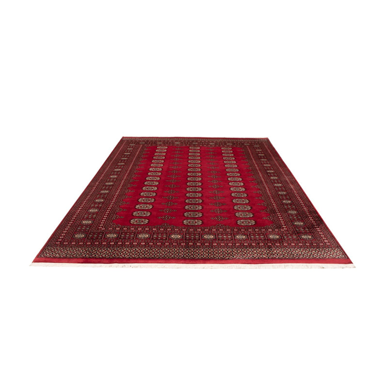 Bukhara Teppe 306x197cm - Orientalsk teppe