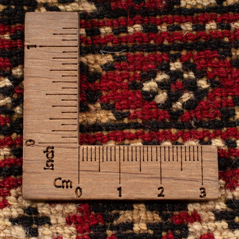 Bukhara Teppe 306x197cm - Orientalsk teppe