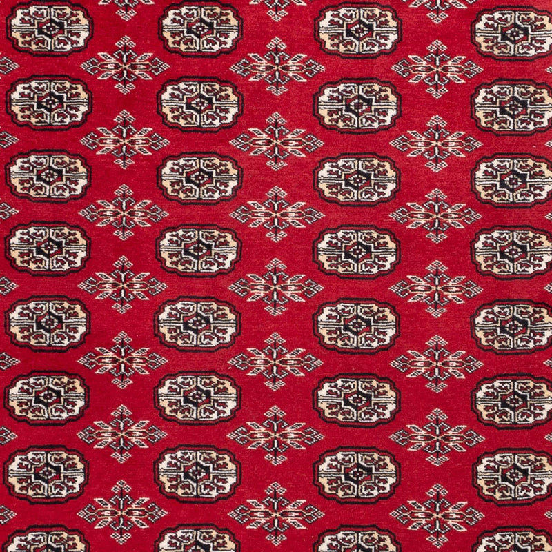 Bukhara Teppe 302x199cm - Orientalsk teppe