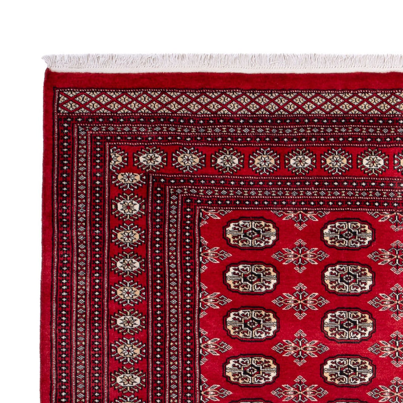 Bukhara Teppe 302x199cm - Orientalsk teppe