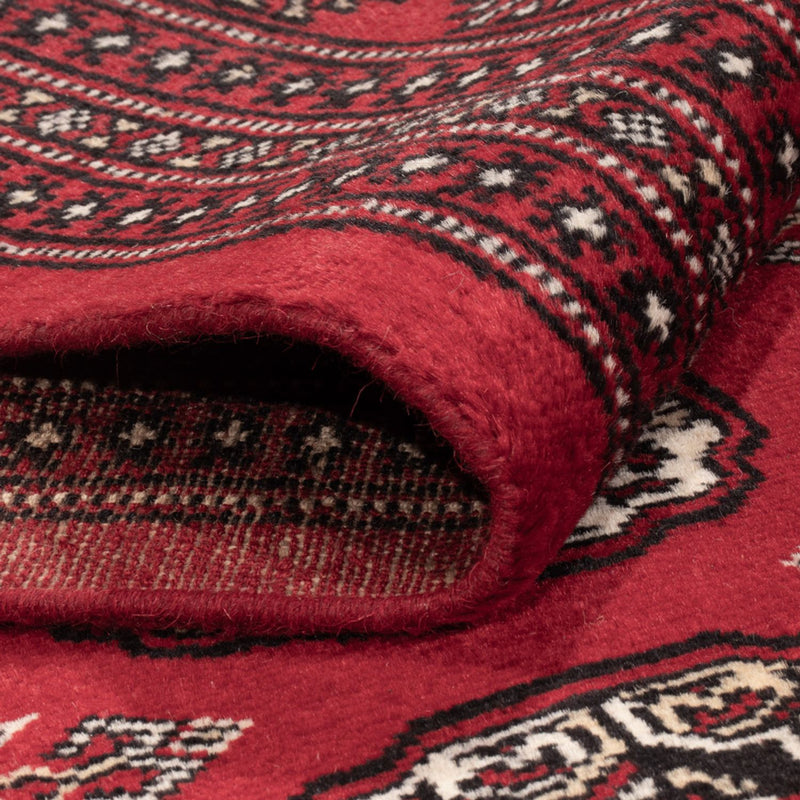 Bukhara Teppe 302x199cm - Orientalsk teppe