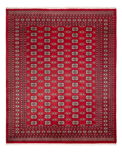 Bukhara Teppe 247x307cm - Orientalsk teppe