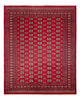 Afghansk teppe - Bukhara - 307 x 247 cm - rød