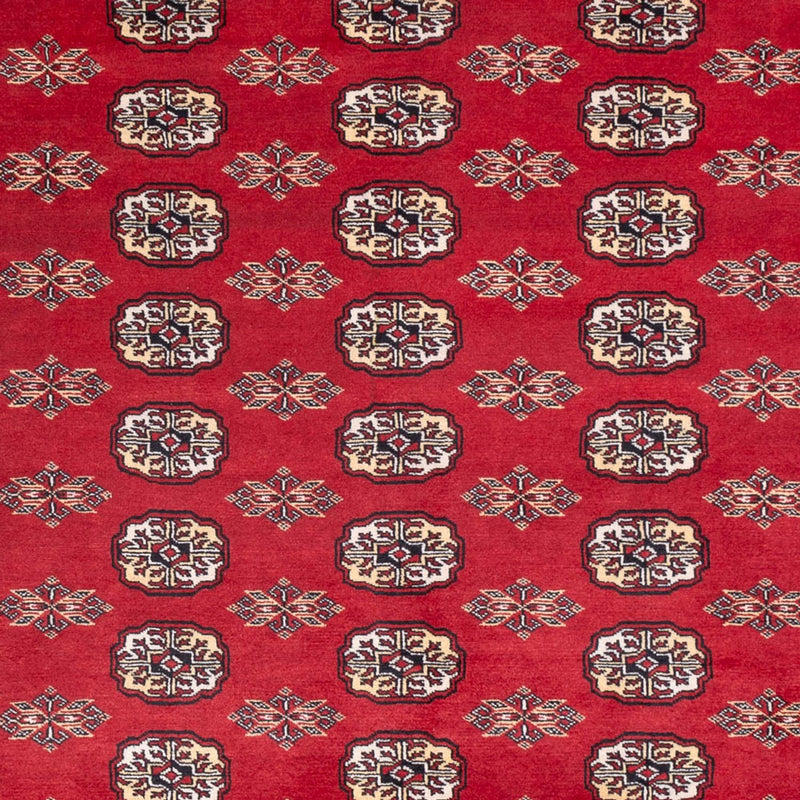 Afghansk teppe - Bukhara - 307 x 247 cm - rød